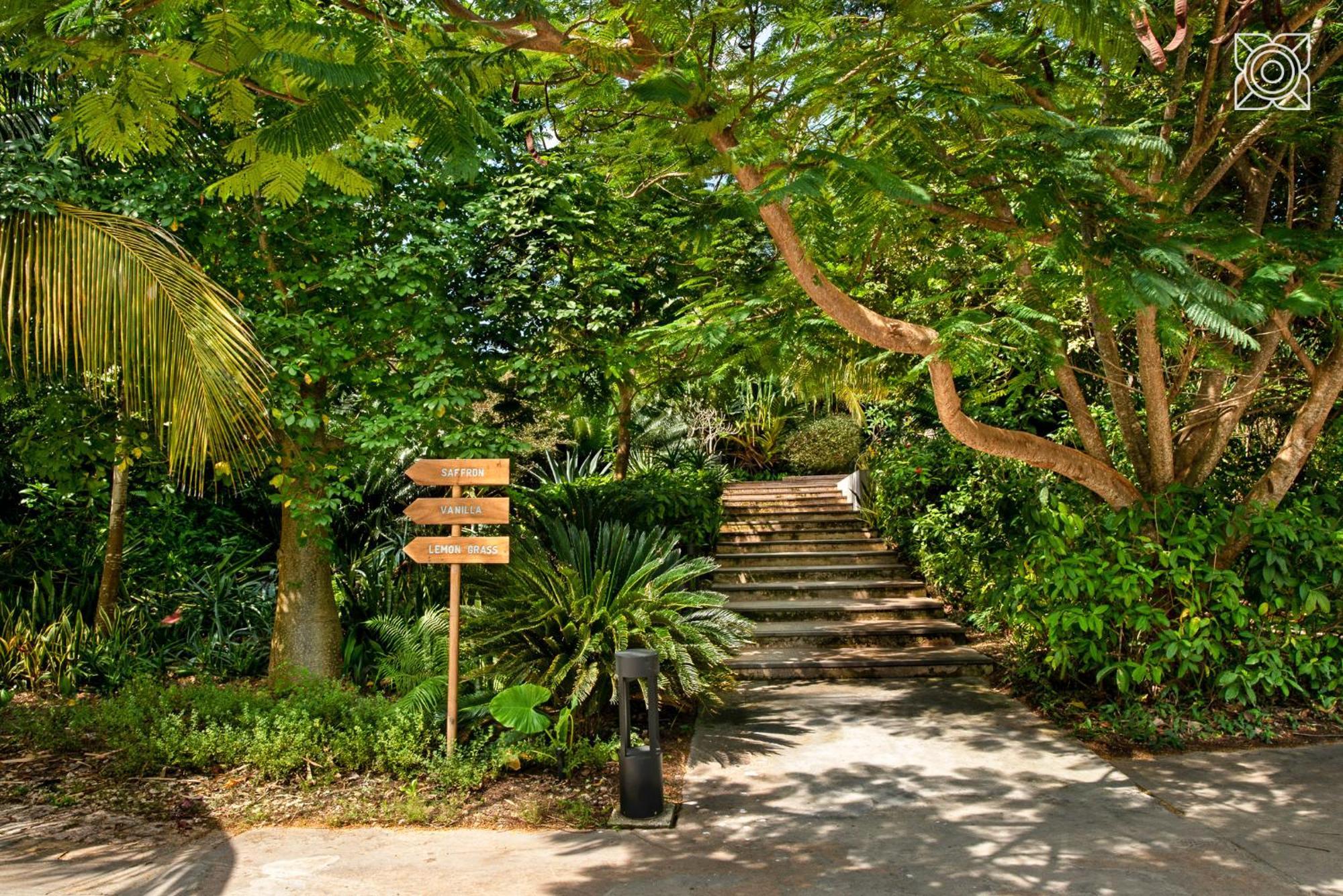 Zuri Zanzibar Resort Kendwa